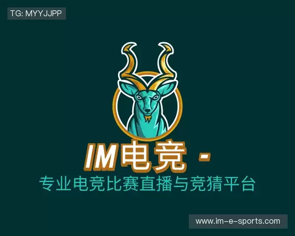 认识IM电竞